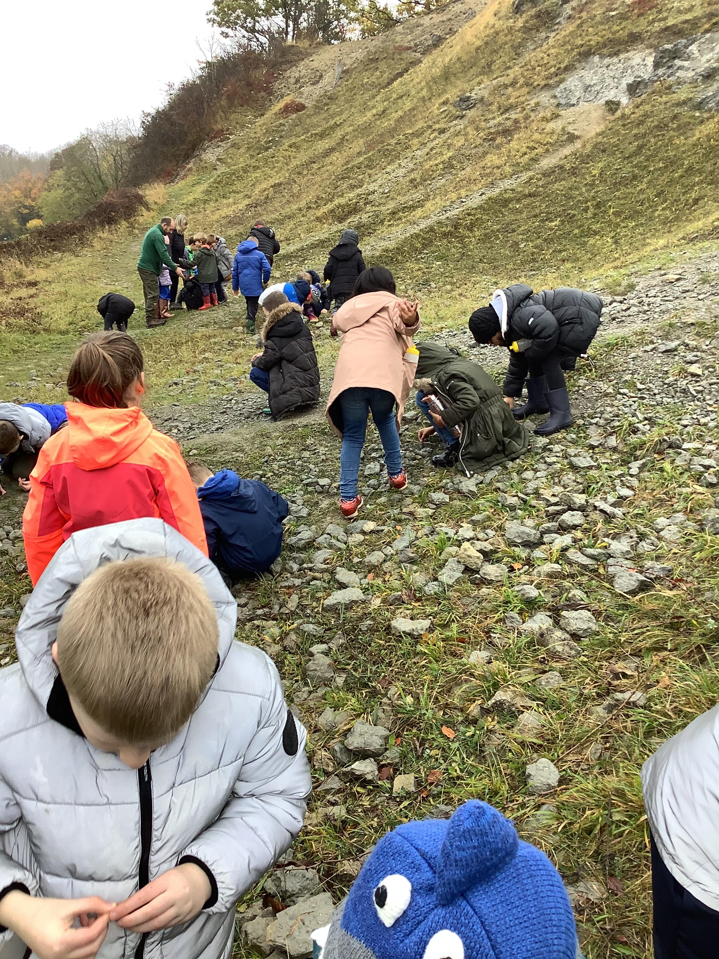 Fossil hunting